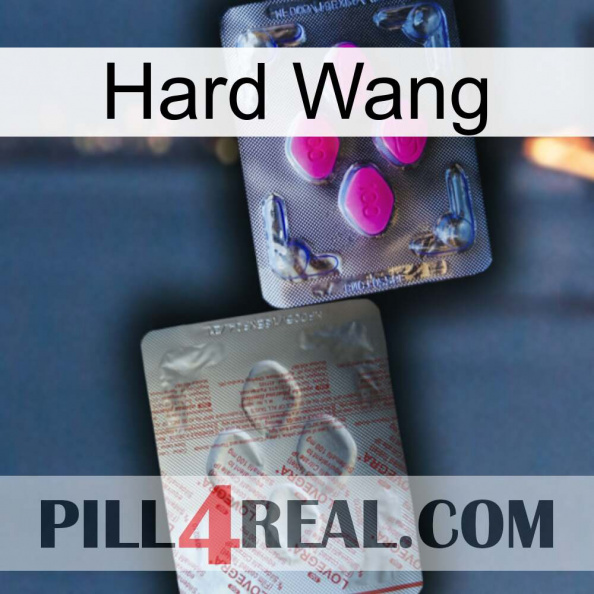 Hard Wang 38.jpg